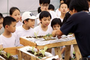 Copy of Ponte Outing 437